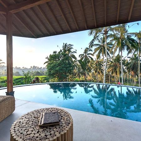 Puri Dajuma Terrace Eco Lodge & Spa Selemadeg  Экстерьер фото