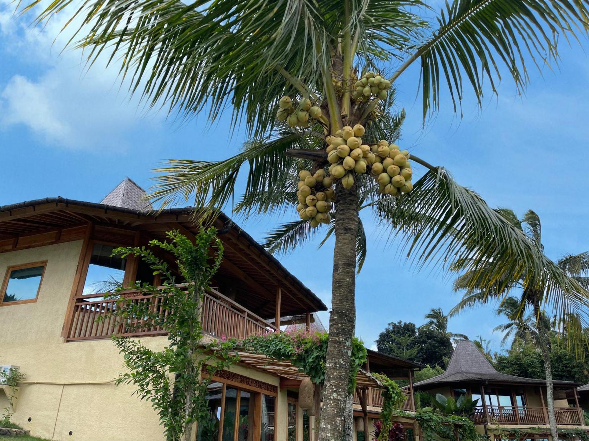 Puri Dajuma Terrace Eco Lodge & Spa Selemadeg  Экстерьер фото