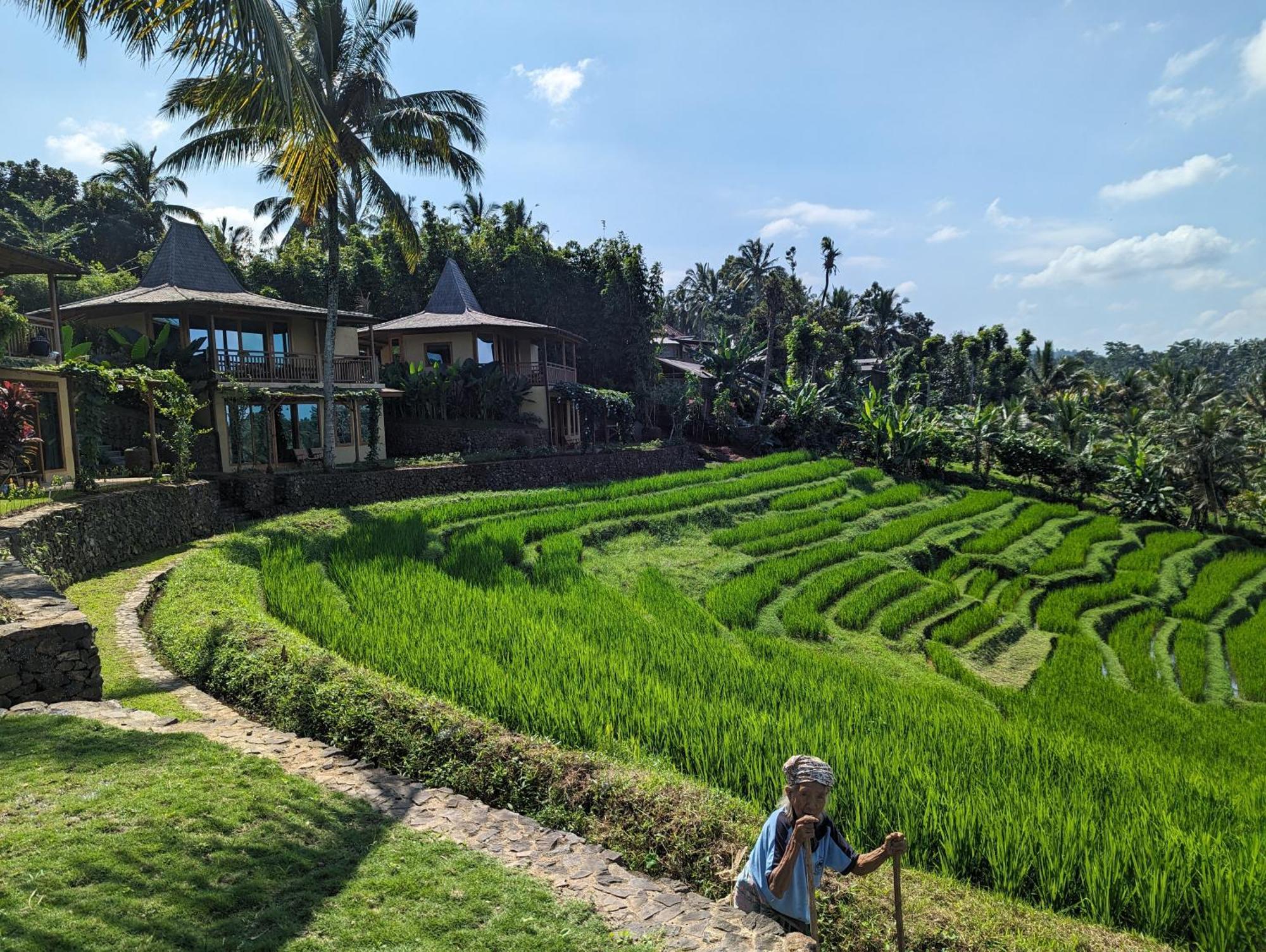 Puri Dajuma Terrace Eco Lodge & Spa Selemadeg  Экстерьер фото