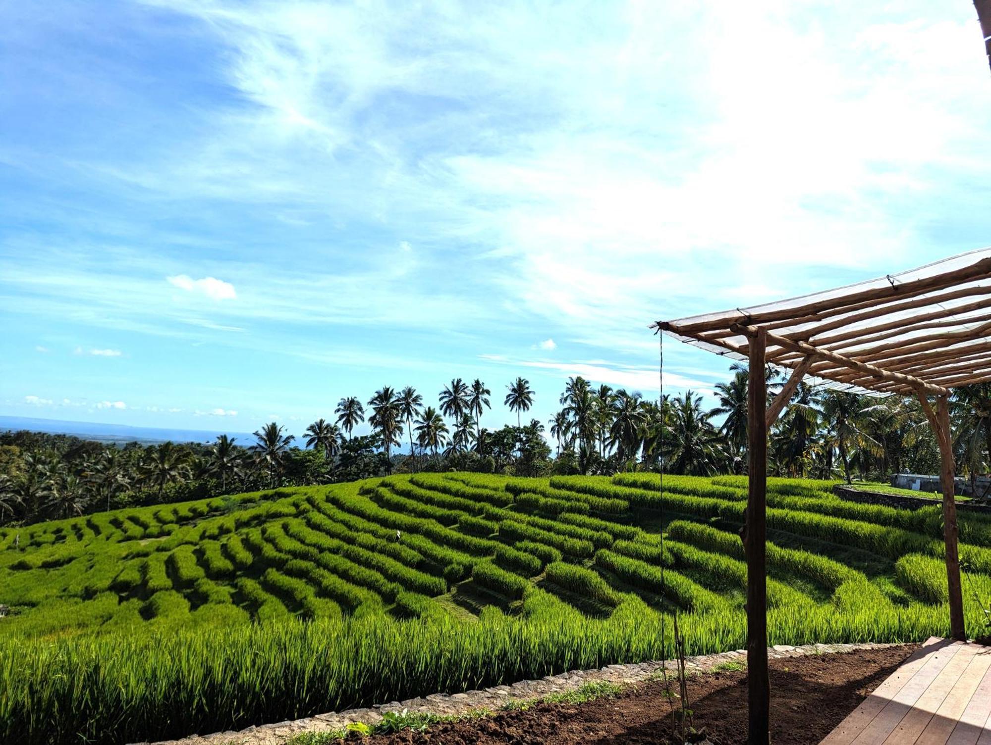 Puri Dajuma Terrace Eco Lodge & Spa Selemadeg  Экстерьер фото