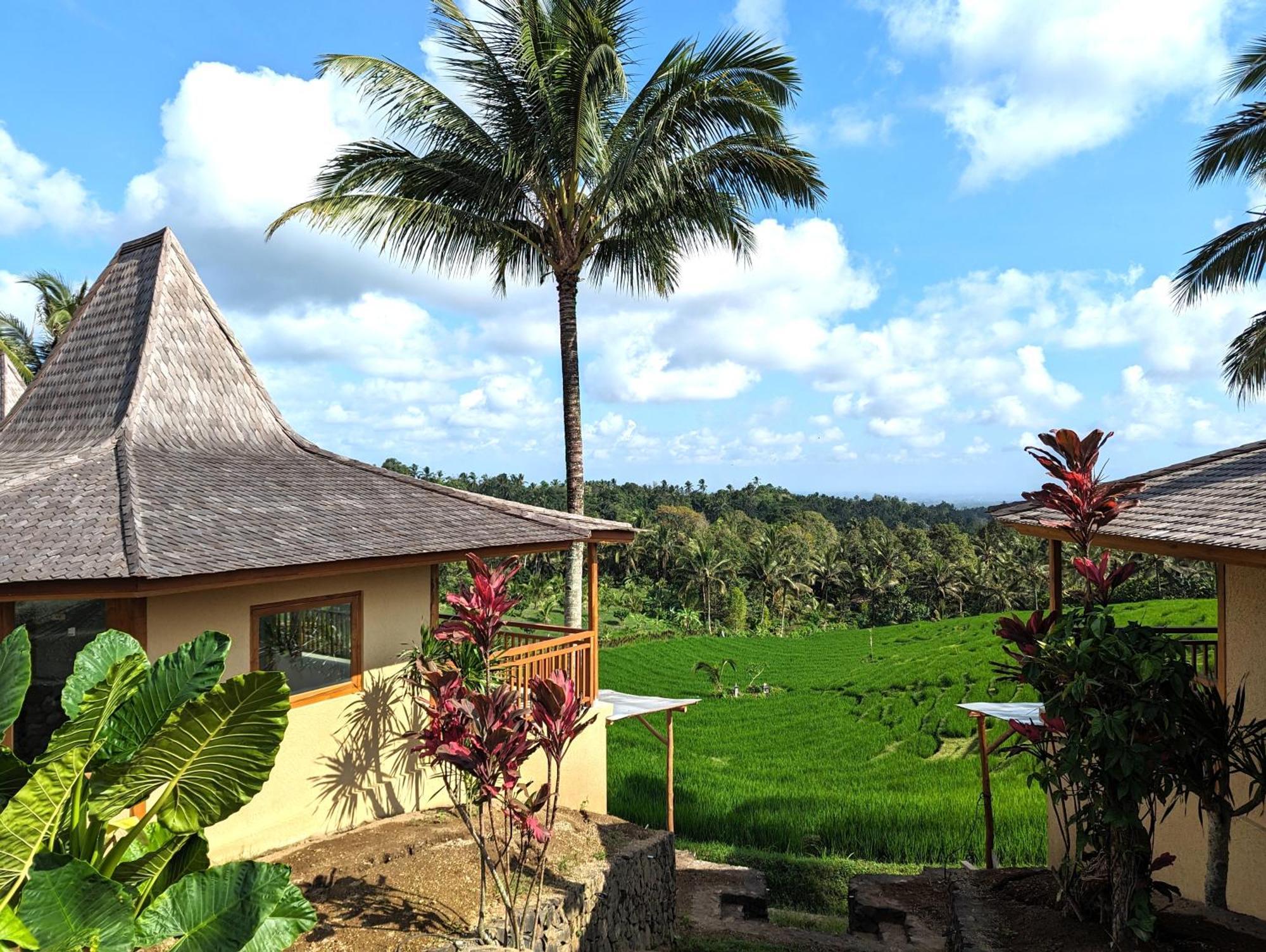 Puri Dajuma Terrace Eco Lodge & Spa Selemadeg  Экстерьер фото