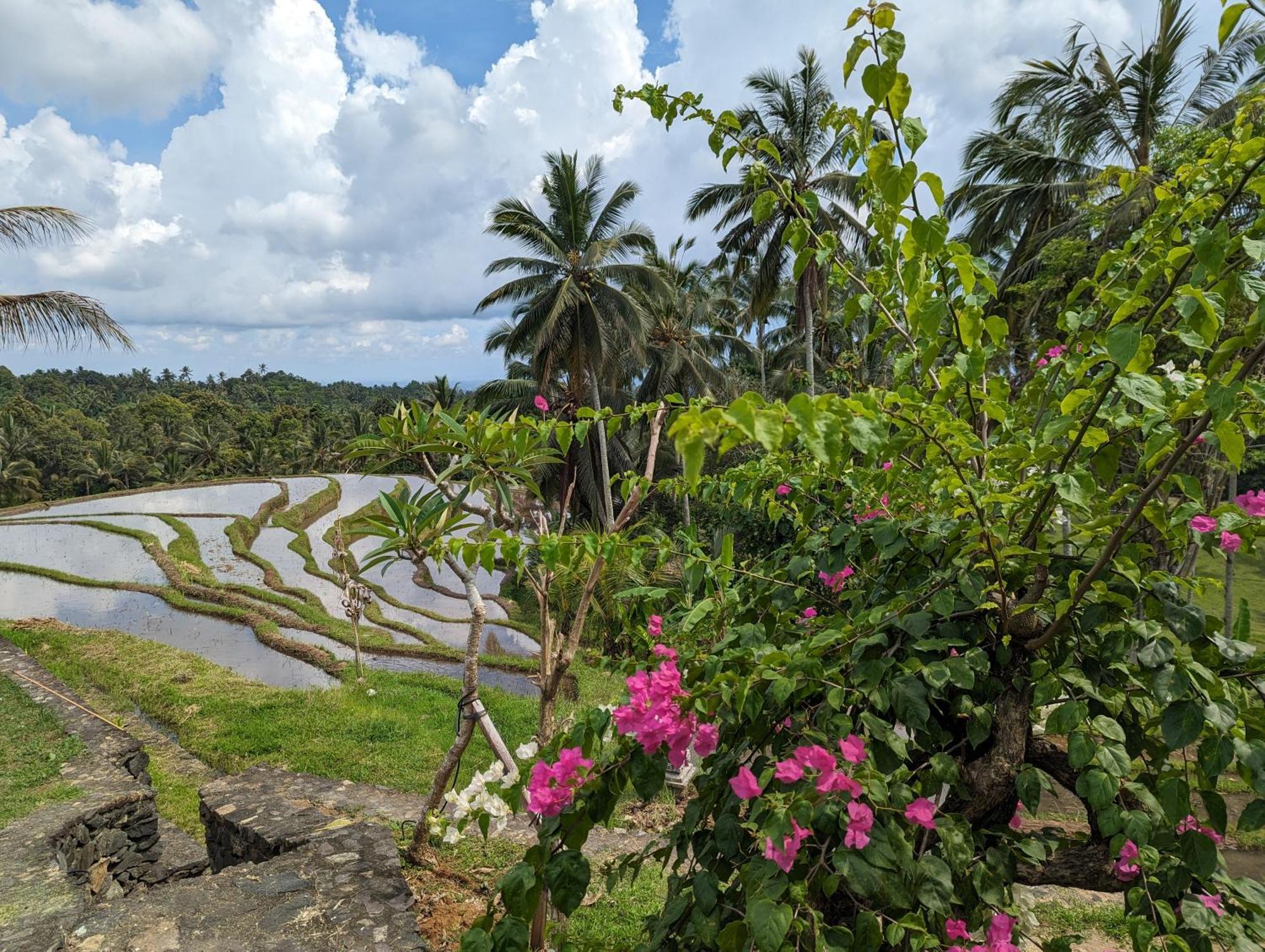 Puri Dajuma Terrace Eco Lodge & Spa Selemadeg  Экстерьер фото