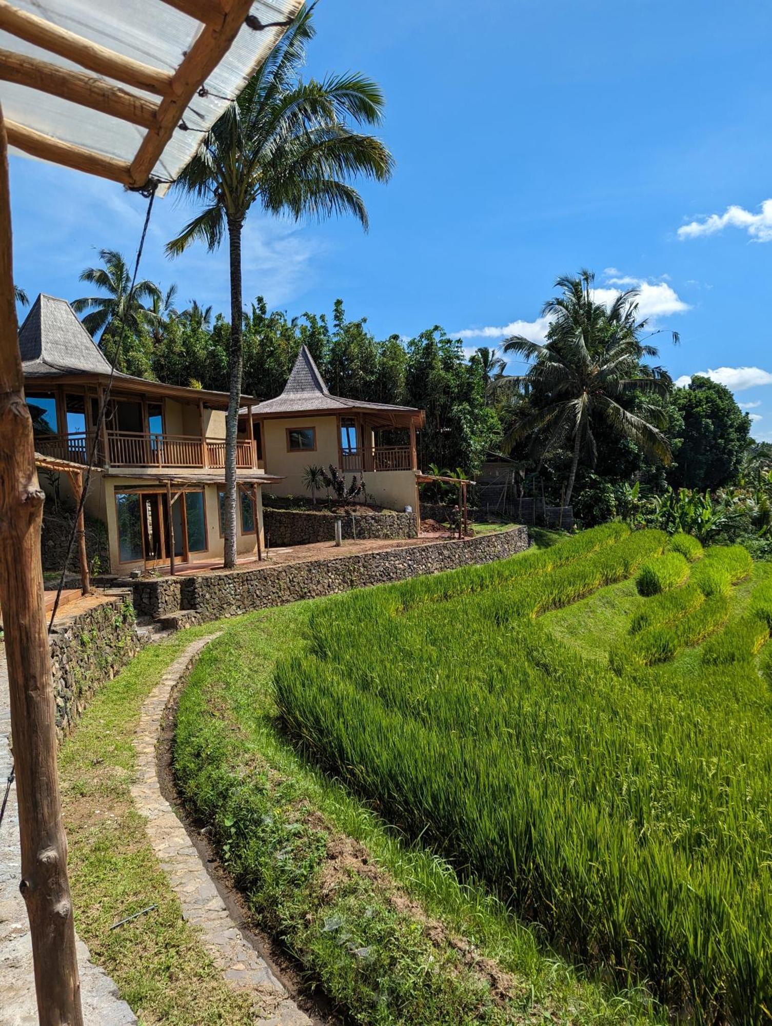 Puri Dajuma Terrace Eco Lodge & Spa Selemadeg  Экстерьер фото